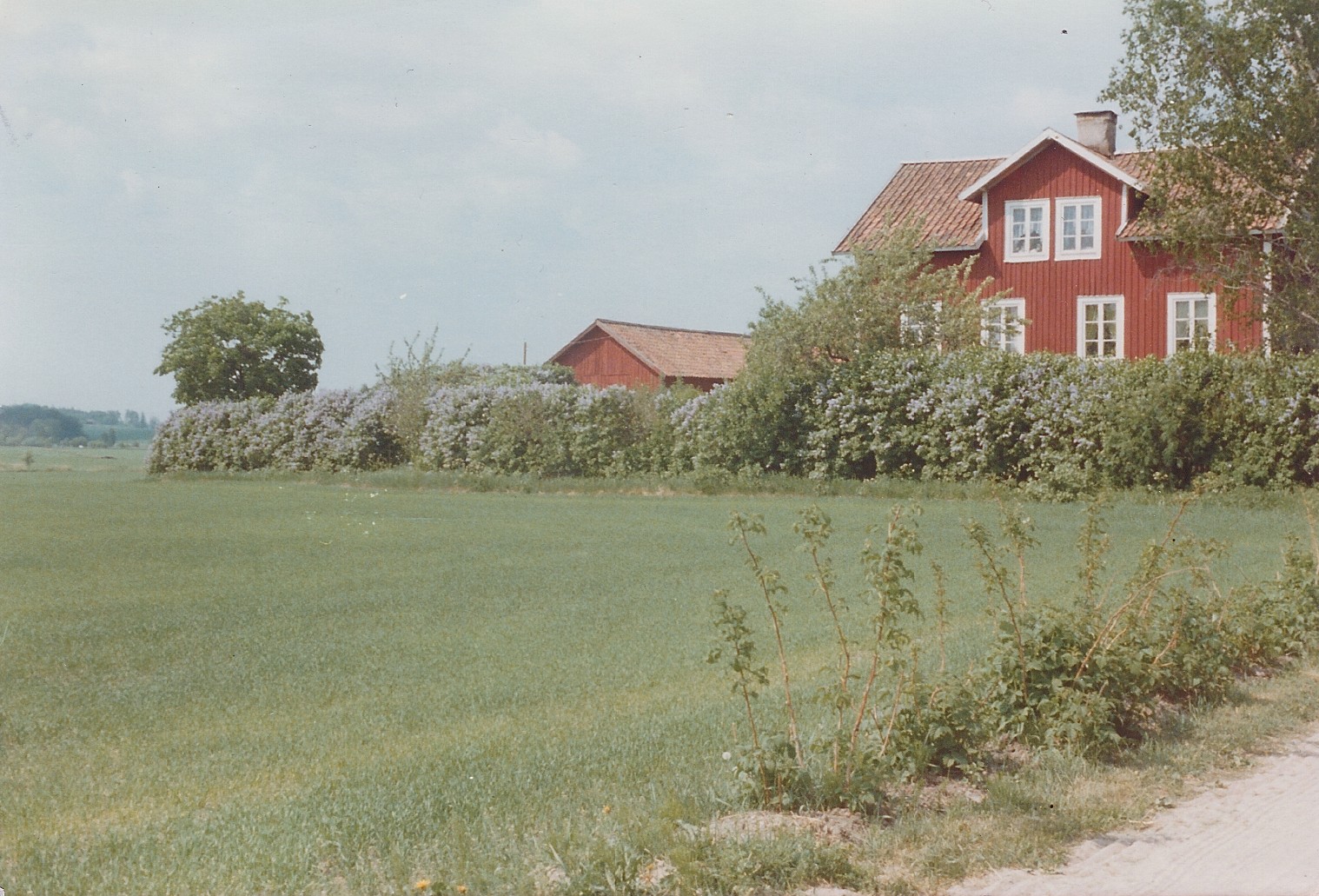 syrilsberg_1900-3.jpg